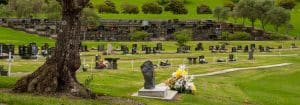 Hibiscus Lawn Burial Plots